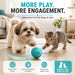 iHome Interactive Ball Toy for Dogs & Cats, 360° Rolling, Vibration & LED Light