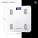 Sharper Image Health Scale