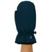 The Extreme Weather 2-pack Waterproof Plush Lined Mitten and Knit Glove 2-pack